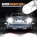 JawGrew T10 Halogen Bulb, 168 194 W5W High Brightness Instrument Lights Width Lights, Waterproof Plug and Play Energy Saving Quartz Glass Light Bulb, Universal for Most Cars (White)