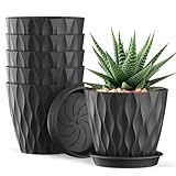Photo Gallery homeuouz set di 6 vasi da fiori da 10 cm, motivo a nido d ape con sottovaso, in plastica con fori, per piante grasse, interni ed esterni, per balcone e giardino, colore nero Photo Gallery homeuouz set di 6 vasi da fiori da 10 cm, motivo a nido d ape con sottovaso, in plastica con fori, per piante grasse, interni ed esterni, per balcone e giardino, colore nero
