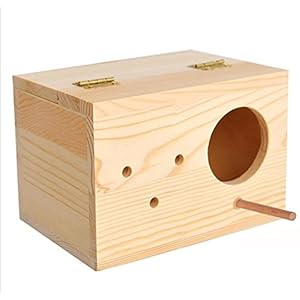 Natural Breeding Box for Small Bird (Budgerigar, Budgeri, Lovebird, Finch & Canary Bird) with Perch