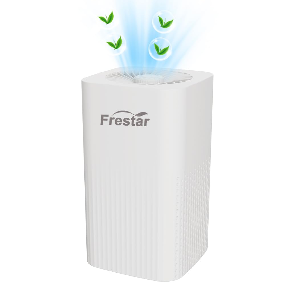 Small Air Purifier and Diffuser 2 in 1 for Office Bedroom Home, Desktop Air Purifier with HEPA Filter for Odor, Dust, Pets, Super Quiet Powered by USB