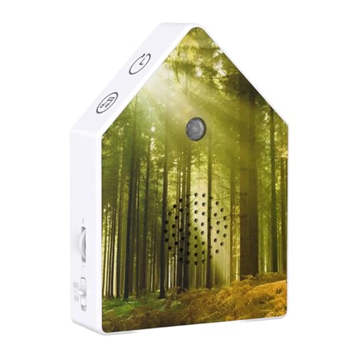 鏬̃fB[IS[ - ^C}[tbNXfoCX,̂{bNX [VZT[t,QAoX[Ae@AAґzAsp