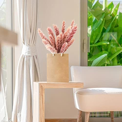 Natuurlijke gedroogde Pampas Gras Gedroogde Pampas Gras Pluizig in Vaas Kunstmatige Pampas Gras Plant Gedroogde Pampas… - Afbeelding 4