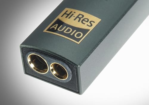 iFi audio GO link MAX IFI-GO-LINKMAX【日本正規店より発送】DAC 内蔵 ヘッドホンアンプ ヘッドフォンアンプ ハイレゾ