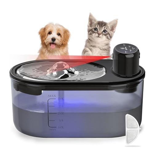 Miau Water Fountain 2023 Vet Ranch We Love Pets
