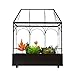 Large Tall Glass Plant Terrarium – House Succulent Terrarium Kit with Lip and Tray Glass Greenhouse Terrarium for Plant 9.5”X5.7”X11.4”