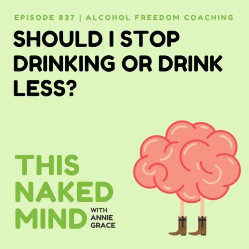 Page de couverture de Should I Stop Drinking or Drink Less? | Alcohol Freedom Coaching | E837