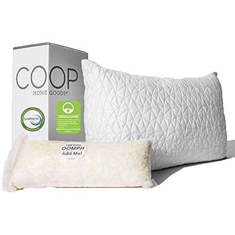 Shredded Memory Foam Pillow with Bamboo Cover by Coop Home Goods - Made in the USA - QUEEN - 50x76 Cover