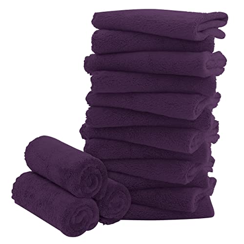 Image of 16 Pack Baby Washcloths - Luxury Coral Fleece - Extra Absorbent and Soft Wash Clothes for Newborns, Infants and Toddlers - Suitable for Sensitive Skin and New Born - Baby Shower - Plum, 10x10 Inch