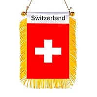 CANTENDO 2 Pack Pakistan Window Hanging Flag,Mini Pakistani Car Flag With Pole Tassel Suction Cup Rearview Mirror Decoration(3x5 Inch