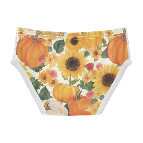 Wusikd Pumpkins Sunflowers Boys' Underwear Cotton Watercolor Floral Boys Briefs Soft Toddler Underwear 2T2