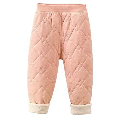 LbY Opc q Y{ N  j̎q ̎q h y EFXgS _E ʋC o ʊw Ꮬ ct w (sNC120)