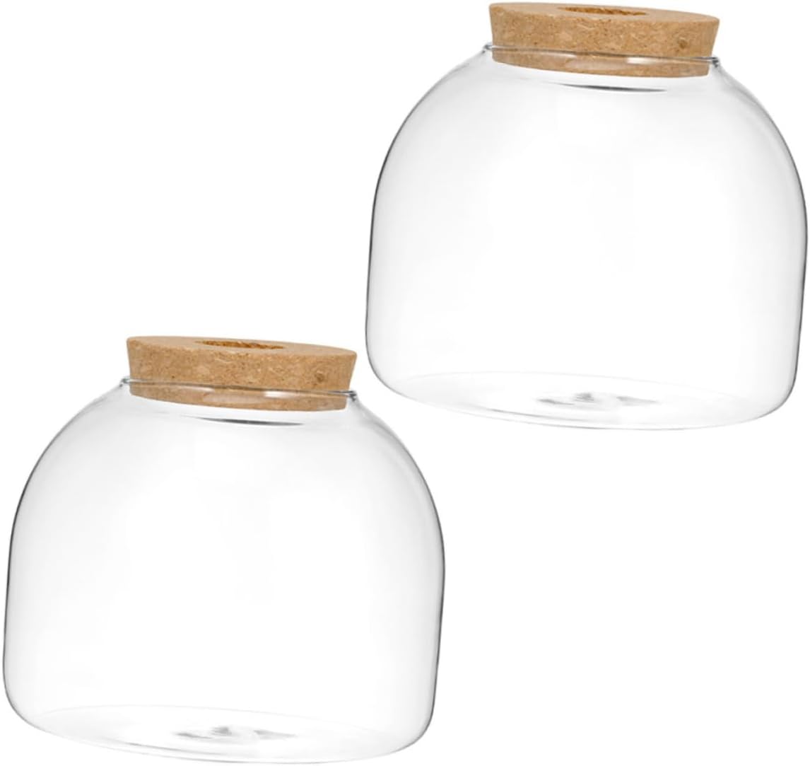 2pcs Terrarium Glass Bottle for Landscape Elegant Moss Plant Jar Cork Stopper for Home Decor and Hydroponic Displays