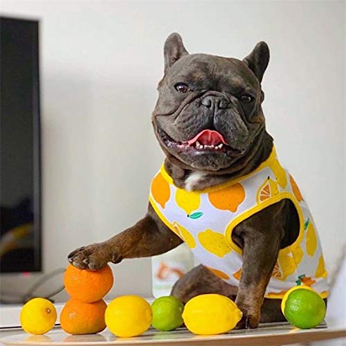 ヒスミニ　パッチワークワンピース　ショートパンツ　フレンチブルT ヒスミニ パッチワークワンピース ショートパンツ フレンチブルT