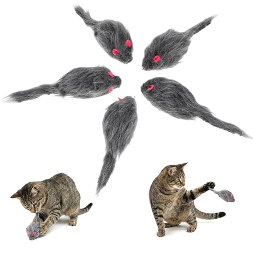 QfwdfcTrenz 5 Stück Katzenspielzeug Maus Plüsch Maus Kitten Spielzeug Cat Toys for Indoor Cats Kunstfell Graue Rasselmaus Tierspielzeug für Gelangweilte Katzenbabys alle Katzenrassen