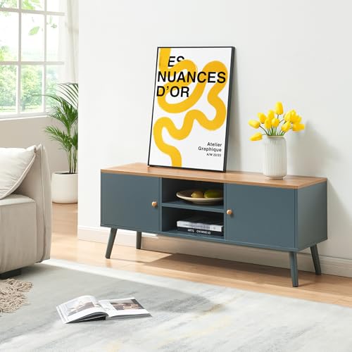 En.casa  Mueble de TV Reyljand con 2 Compartimentos