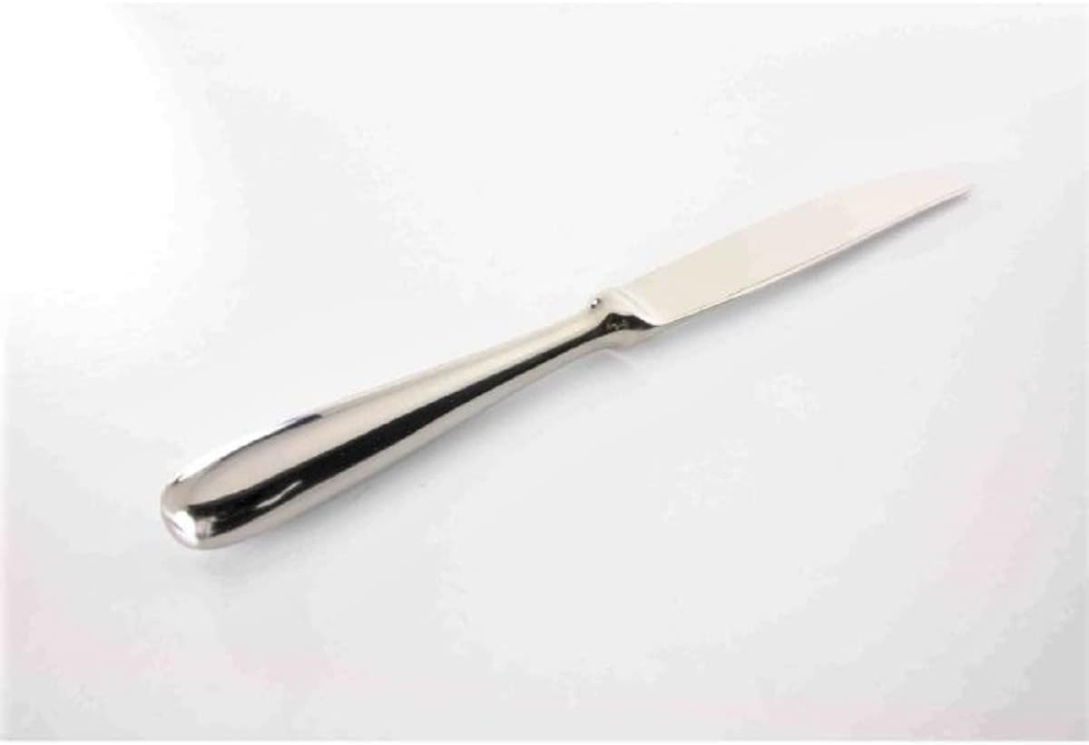 TrueCraftware- Diamond Stainless Steel Hollow Handle Table Knife Set of 12- Stainless Steel Silverware Flatware Cutlery Kitchen Tableware Set for Home Restaurant Butter Knife Spreader Table Knives