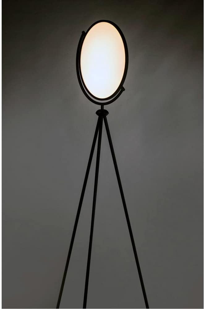 ET2 Paddle - 68 Inch 33W 1 LED Floor Lamp
