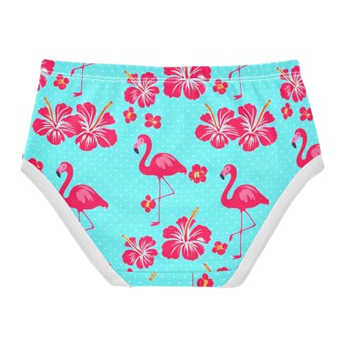 Bright Girls Underwear Toddler 2t Cotton Girl Panties Cute Pink Flamingos Floral Blue Briefs Undies Kids2