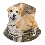 ネックウォーマー フェイスマスク マスク コーギーの写真 ヘッドバンド 多機能 バンダナ 防寒 防風 埃よけ 花粉症に対策 釣り サイクリング スキー 登山 秋冬用 男女兼用 フリーサイズ