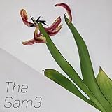  The Sam3 [Explicit]