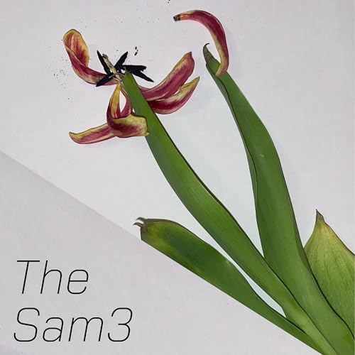  The Sam3 [Explicit]
