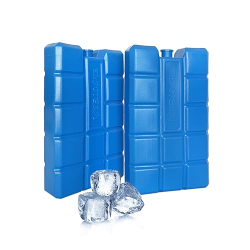 BEMAY – Placas de Hielo Portátil para Nevera y Bolsa Térmica Porta Alimentos. Bloque Acumulador de Frio Reutilizable para Congelar Bebida y Comida de Viaje o Trabajo. (10 Unidades)