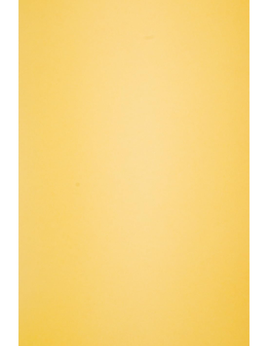 Netuno 500x Saffron Coloured Paper 80gsm A4 210 x 297 mm 8.3 x 11.7 in Circolor Saffron Colourful Craft Paper for DIY Projects Card Making Origami Invitations Greeting Cards Flyers Scrapbooking