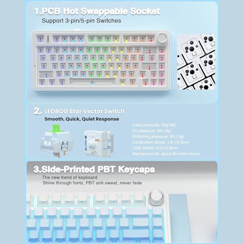 Image of AULA F75 75% Side-Engraved Keycaps Wireless Mechanical Keyboard | Hot Swappable | Pre-lubed Linear Switches | RGB Backlit | 2.4GHz /Type-C /Bluetooth Keyboard (Side-Engraved, Blue Star-Vector Switch)