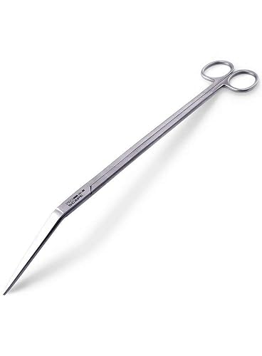 JBL Proscape Tool S 30 Curved 100 g