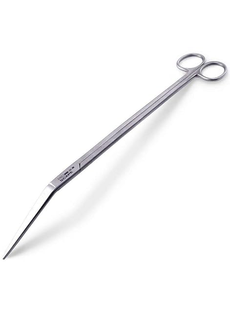 JBL Proscape Tool S 30 Curved 100 g