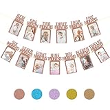 CZBZYMYYY First Birthday Decorations for Baby from Newborn to 12 Months, 1st Birthday Photo Banner Baby Monthly Milestone, Party Hanging Supplies for Girls Boys (Rose Gold)