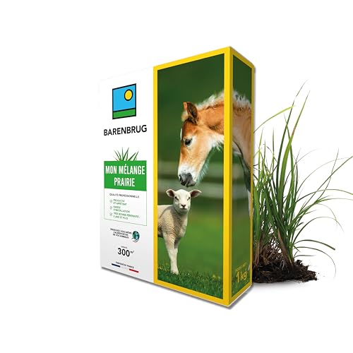 BARENBRUG - Mélange Prairie - Productif et Appétent - Rapide d’Installation - Très Bonne Pérennité - Production Alimentation pour Animaux - Fabriqué en...