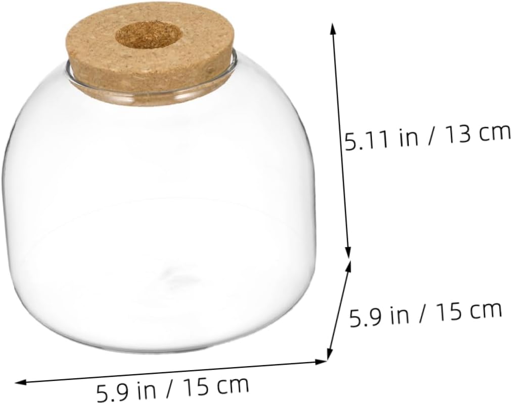 Happyyami 2pcs Glass Terrarium Bottle for Plants Elegant Microlandscape Planter Stylish Desktop Jar for Home Decor and Moss Landscape Easy to Clean