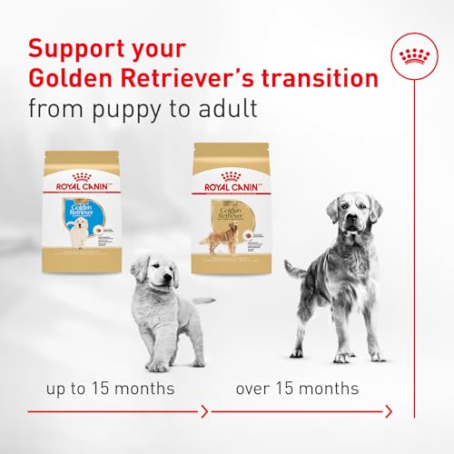 ROYAL CANIN Golden Retriever Adult Dry Dog Food, 30 lb Bag - image 6