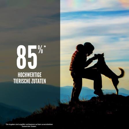 Orijen Dog Original | Doppelpack | 2 x 340 g | Alleinfuttermittel für ausgewachsene Hunde | 85% hochwertige tierische Zutaten | Überzug aus gefriergetrockneten rohen Zutaten