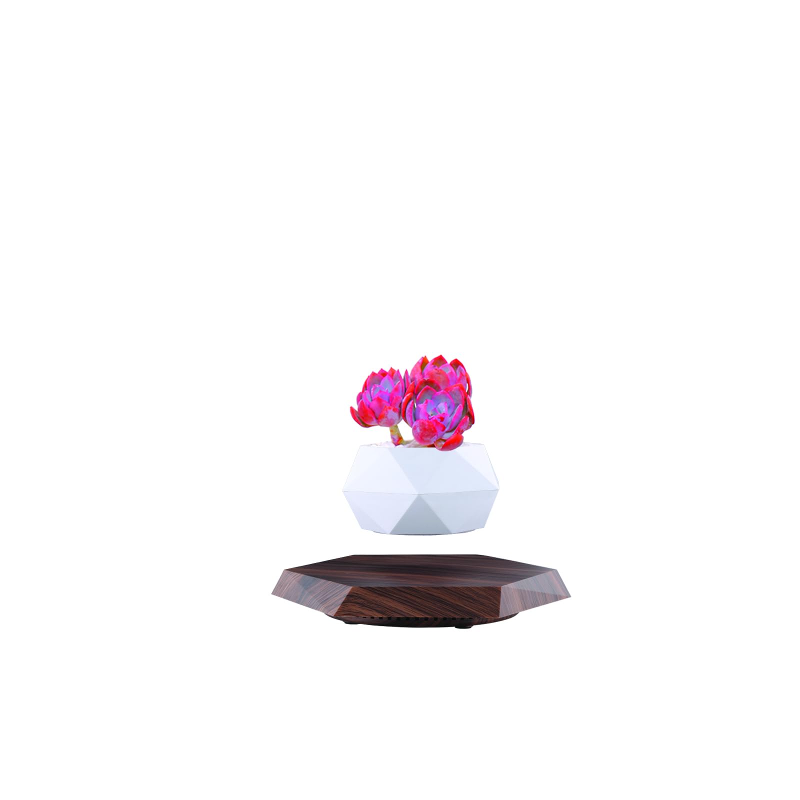NTPHNB Floating Flower Pot, Magnetic Floating Plant, Floating Plant Pot, Magnetic Levitating Plant Pot ，Modern Hanging Planter, Planter