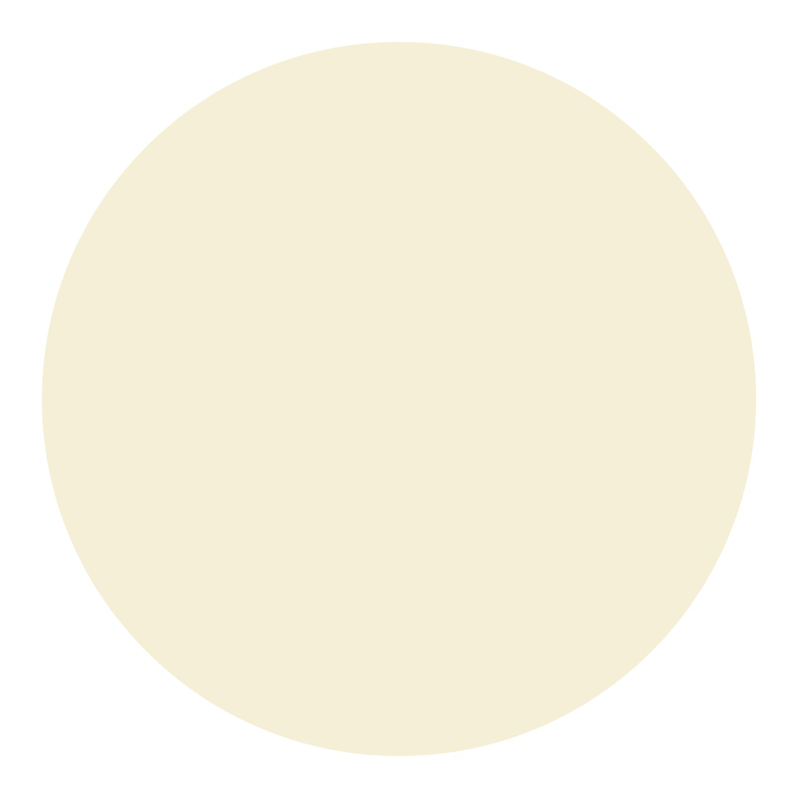 HAUSA Stucco per legno 250 g, stucco per legno di abete, kit per legno, stucco/impasto per legno per riparare danni al legno, pronto all'uso, eccellente potere riempitivo, asciugatura rapida