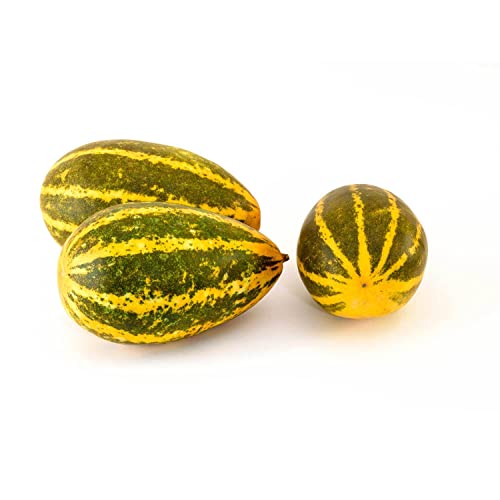 Vellery India 800g-1 kg Approx.