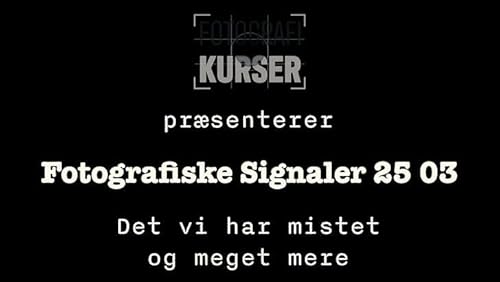 Det vi har mistet og meget mere