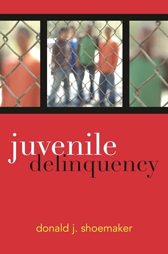 Juvenile Delinquency view 2