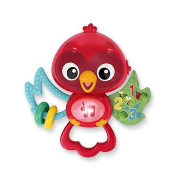 bird toys that encourage play