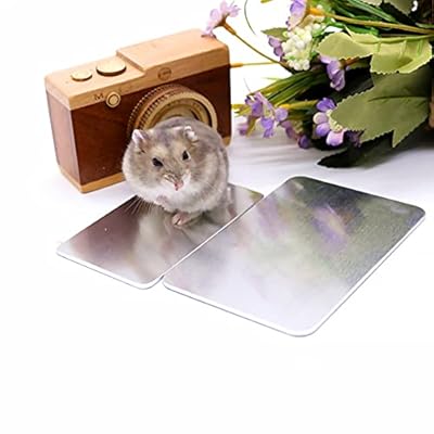 POPETPOP Small Animal Cooling Pad - Hamster Summer Ice Bed Anti-bite Plate for Kitten Rabbit Bunny Guinea Pigs Hamster Chinchilla and Other Small Pets, 10x6cm