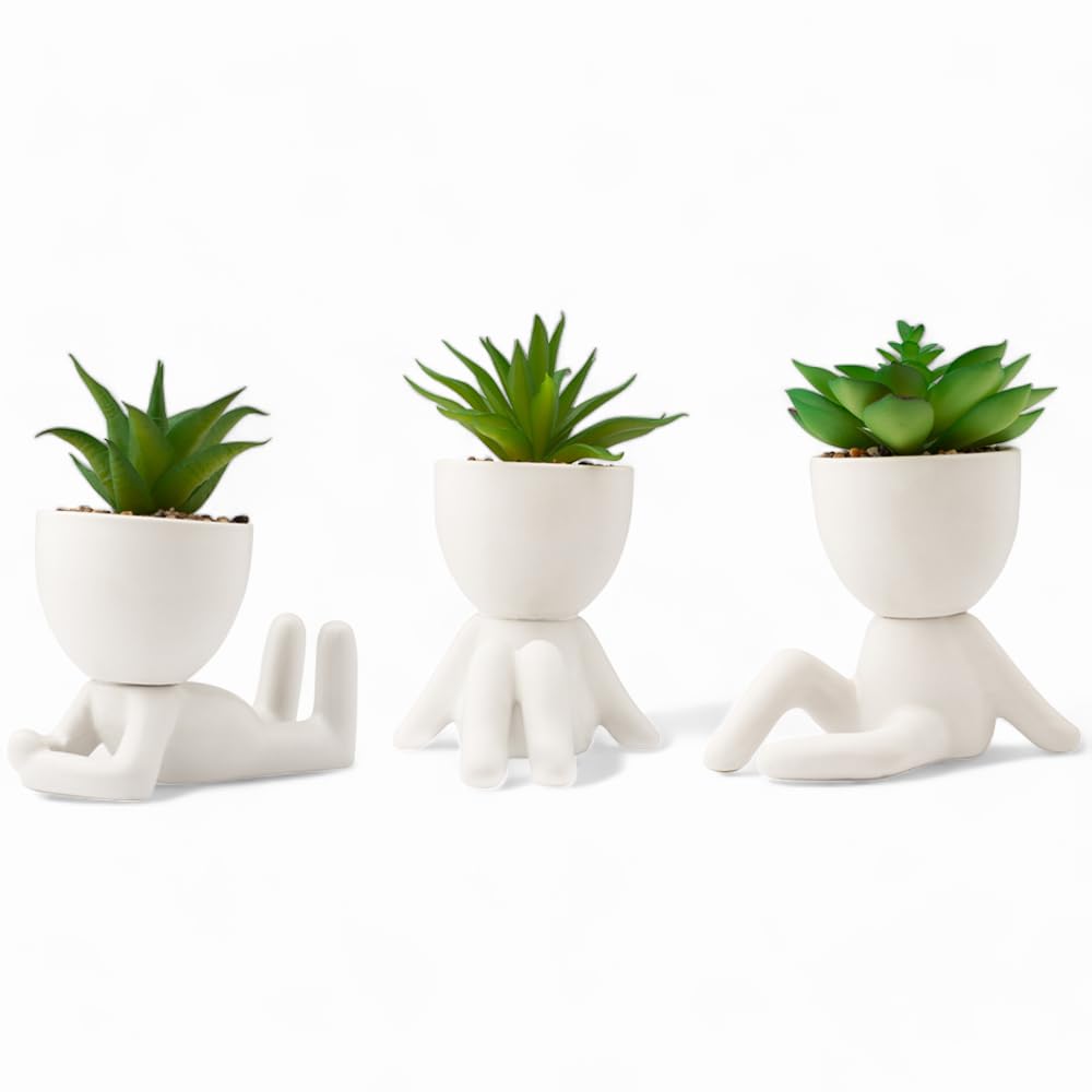 LUNIER Seated Succulent Set (Set of 3), White With Green Plants