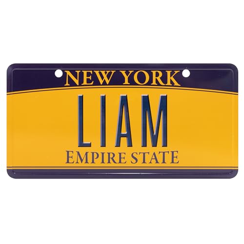 USA Staatskennzeichen mit Namen. Namensschild aus Aluminium. Wandschild, Tafel, Türschild. US-Kennzeichen. Schild mit Saugnäpfen. (LIAM)
