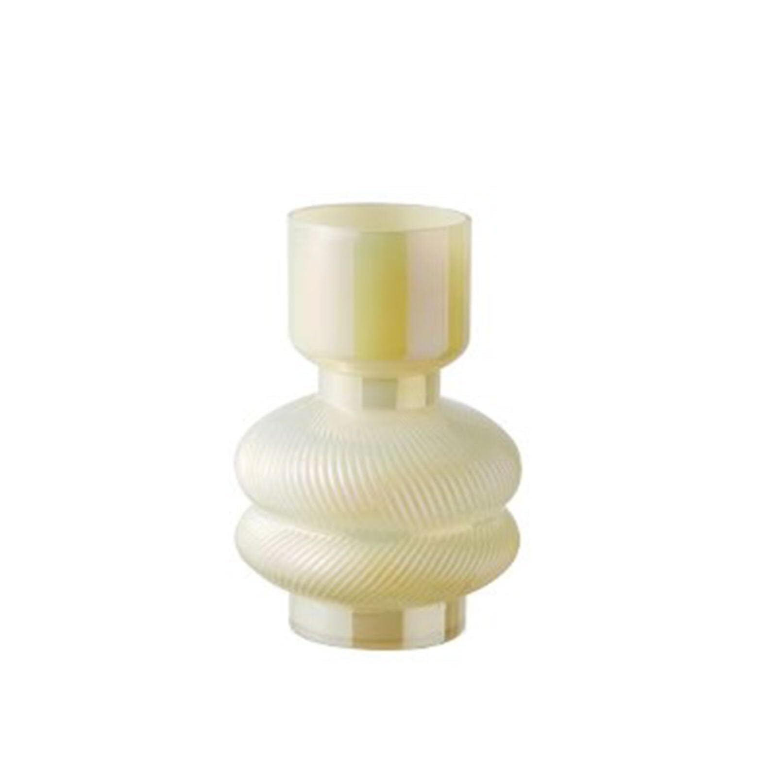 Fleur séchée moderne mise en valeur par un vase en verre de cuisine