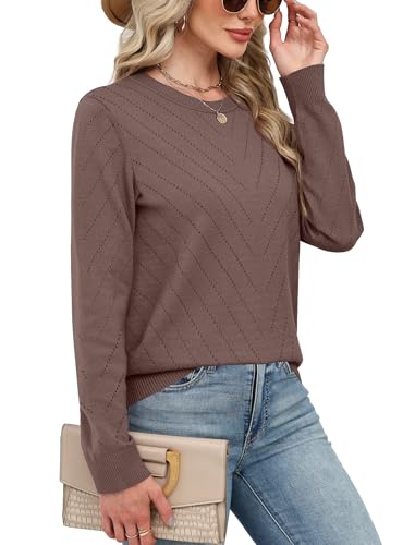 SAMPEEL Womens Sweaters Crew Neck Long Sleeve Tops Knit Soft Pullover Sweaters Cozy Dressy Casual Shirts Fashion Clothing4