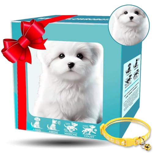 新品　おさんぽ犬造くん　ラジコン q150.jpg
