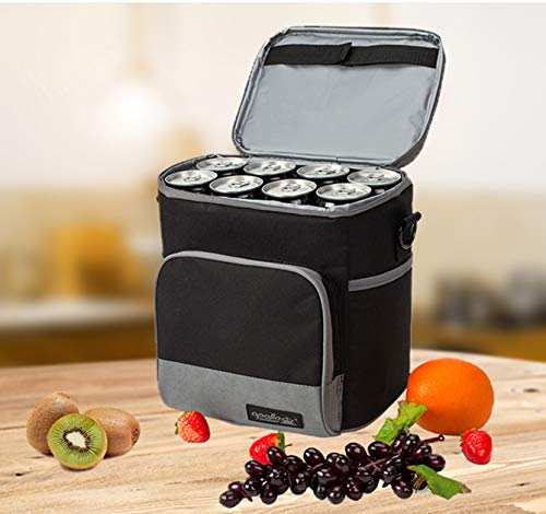 Apollo Walker Lunch Box Insulated Lunch Bag Large Foldable Waterproof Cooler Picnic Tote Bag for Adult Men, Women, Black