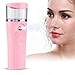 40ml Sprayer, Luftbefeuchter, Gesichtssprühnebelsprühgerät USB Handheld Nano Gesichtsnebel Cold Spray Hydrating Sprayer Luftbefeuchter Zerstäubung Mister(F2)