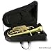 ROWELL Euphonium 4 Valves Bb Brass Lacquer Gold 4 Stainless Steel Pistons Intermediate Advanced Euphonium with Case Gloves and Polishing Cloth